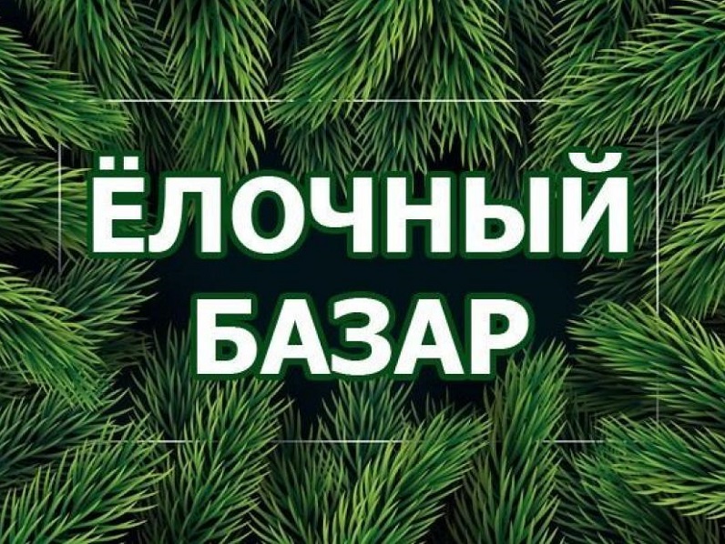 Информация по организации ёлочных базаров на территории Старооскольского городского округа.