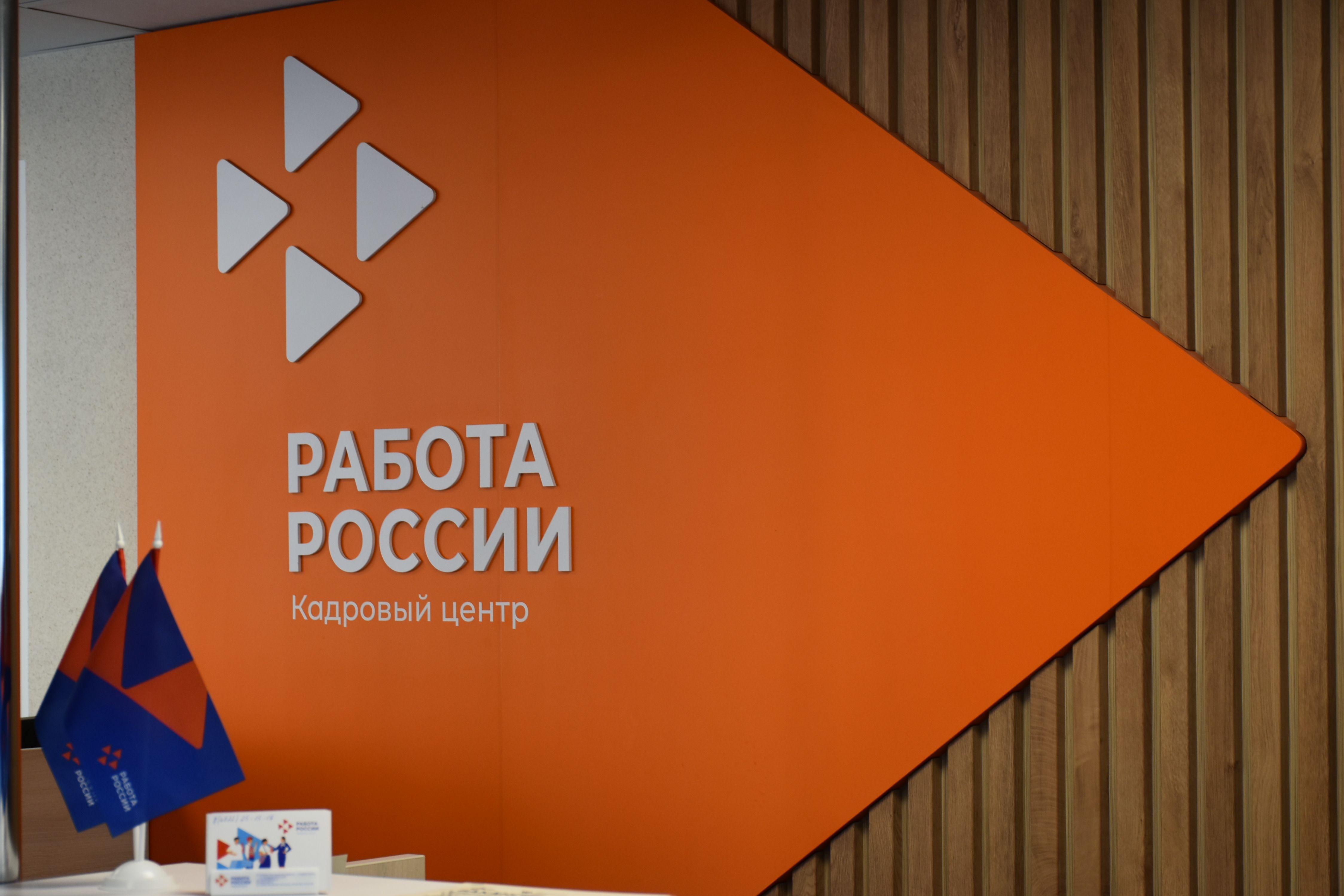Узнать какие профессии требуются в зоне СВО можно на портале «Работа России».