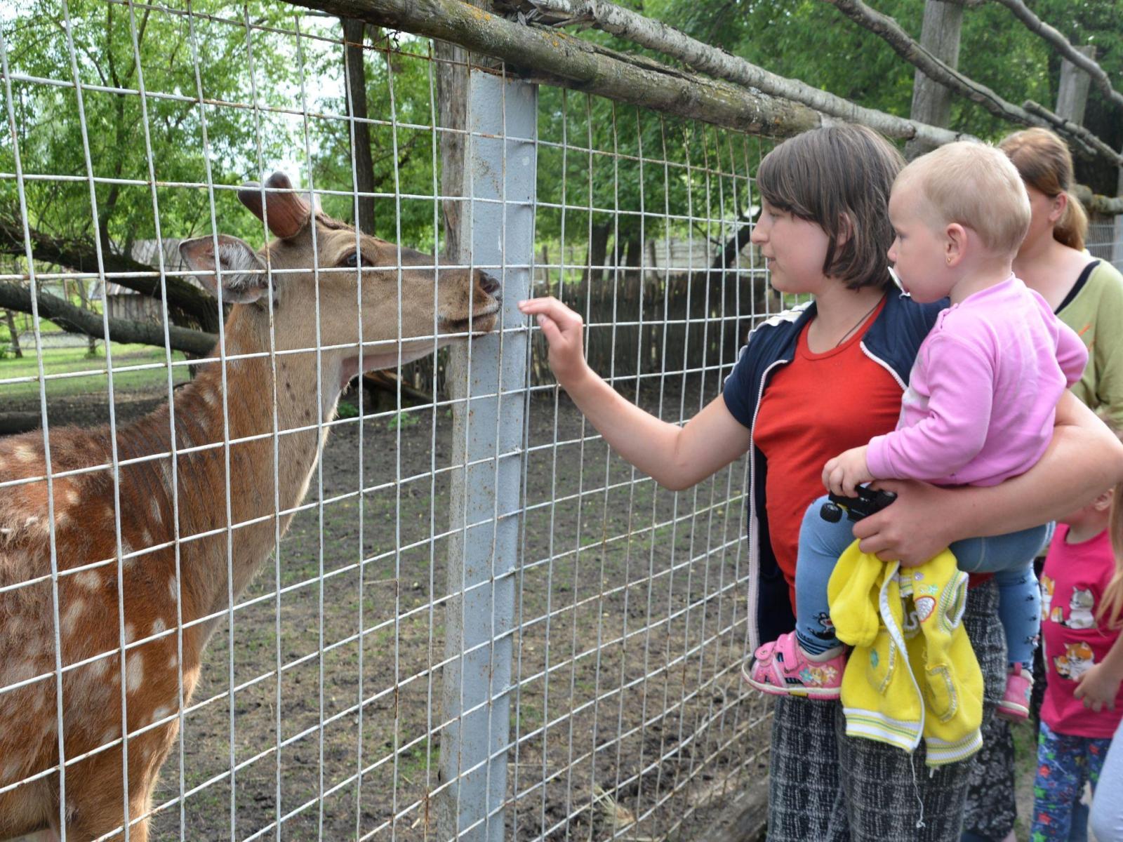 Эвакуированные из Грайворонского горокруга жители посетили Старооскольский зоопарк.