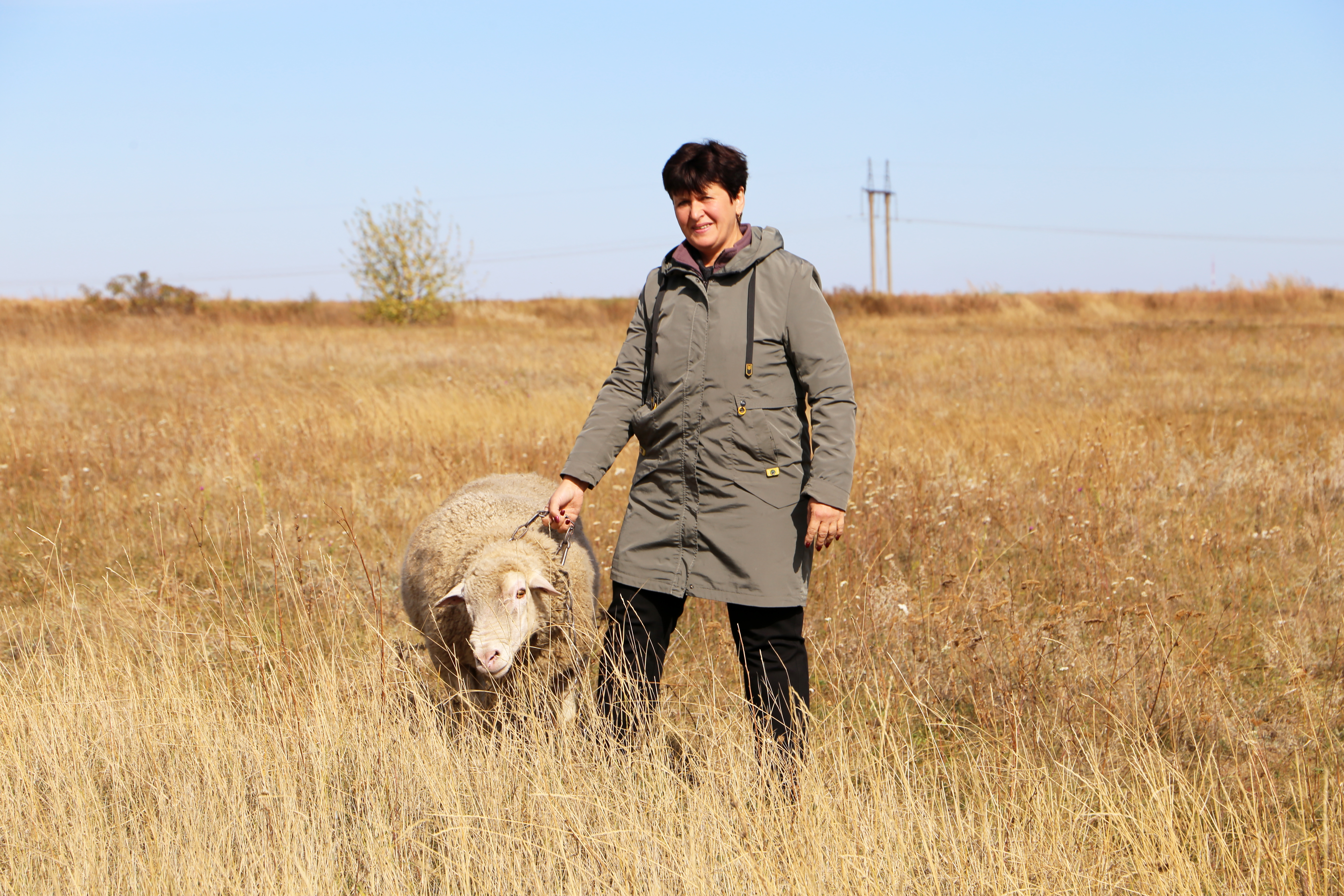Жительница села Прокудино расширила своё подсобное хозяйство благодаря социальному контракту.