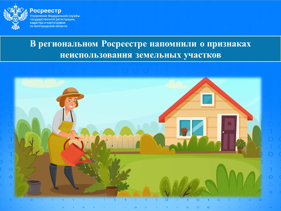 В региональном Росреестре напомнили о признаках неиспользования земельных участков.