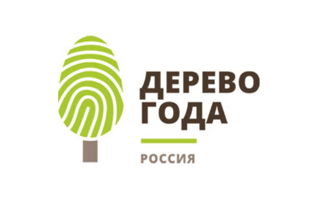 С 1 мая по 1 августа 2025 года проходит голосование за Главное дерево страны.