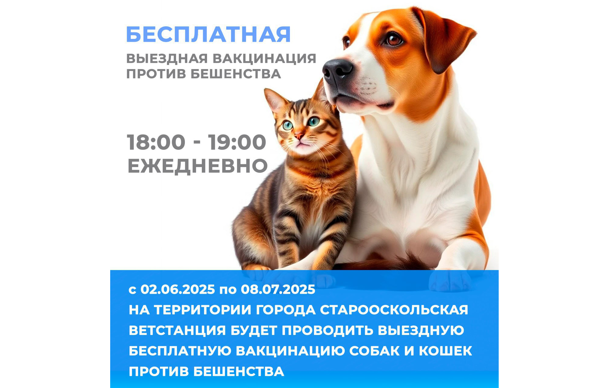 Старооскольская ветстанция организует бесплатную выездную вакцинацию кошек и собак.