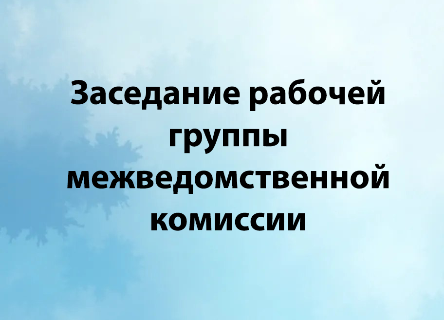 Заседание рабочей группы межведомственной комиссии.
