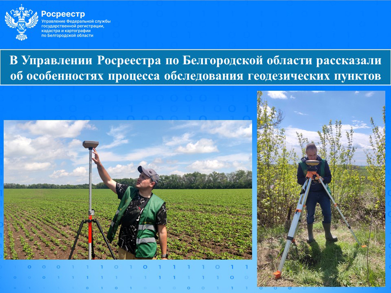 В Управлении Росреестра по Белгородской области рассказали об особенностях процесса обследования геодезических пунктов.