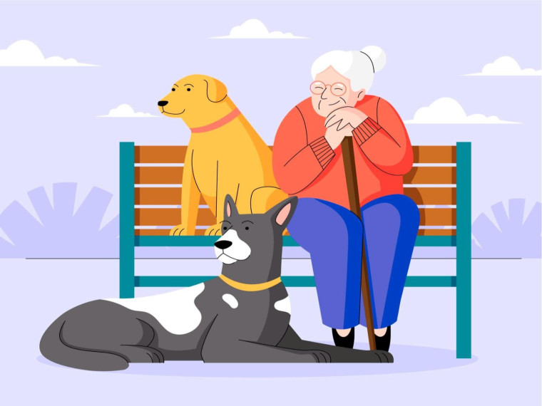 В Старом Осколе ветеран войны отметила свое 95-летие. В Старом Осколе ветеран войны отметила свое 95-летие.