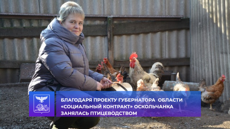 В Старооскольском городском округе продолжается реализация проекта губернатора «Социальный контракт».. В Старооскольском городском округе продолжается реализация проекта губернатора «Социальный контракт»..