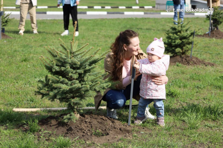 В Старооскольской окружной больнице Святителя Луки Крымского состоялось открытие аллеи молодых специалистов. В Старооскольской окружной больнице Святителя Луки Крымского состоялось открытие аллеи молодых специалистов.