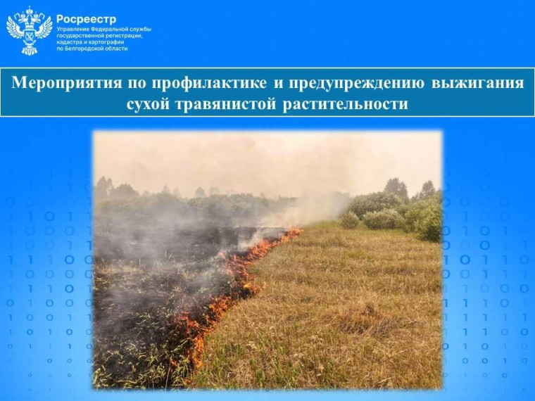 Мероприятия по профилактике и предупреждению выжигания сухой травянистой растительности. Мероприятия по профилактике и предупреждению выжигания сухой травянистой растительности.