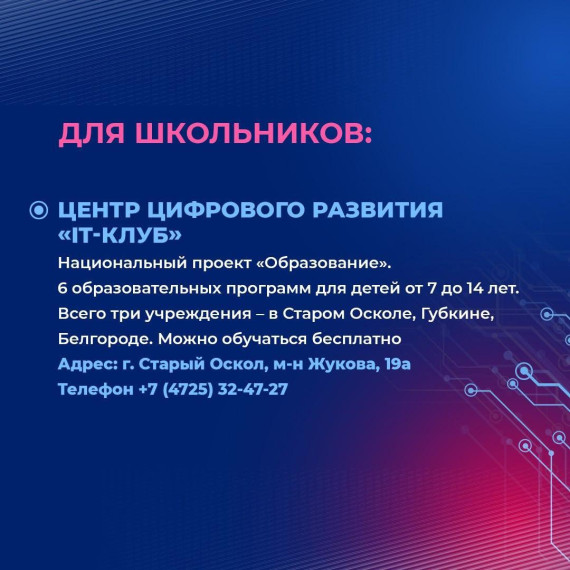 В Белгородской области можно получить качественное образование в сфере информационных технологий.