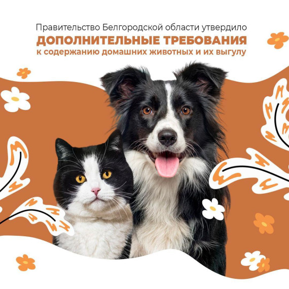 Теперь белгородцы должны выгуливать домашних животных на специализированных площадках, определяемых органами местного самоуправления.