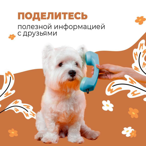 Теперь белгородцы должны выгуливать домашних животных на специализированных площадках, определяемых органами местного самоуправления.